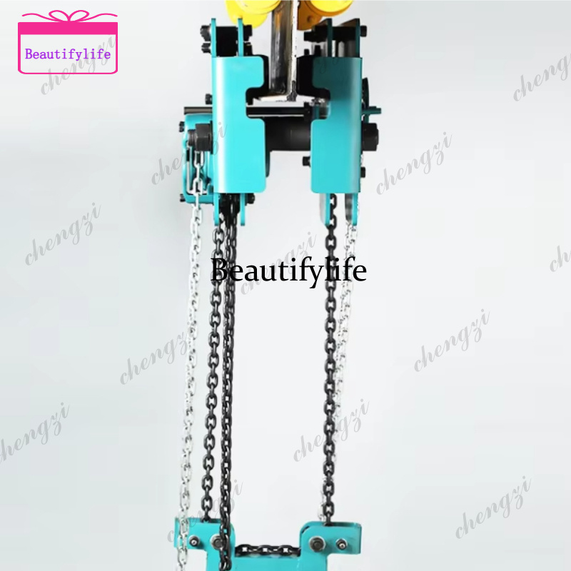 Heavy Equipment Lift - Paranco manuale a catena doppia a